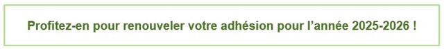 Adhesion